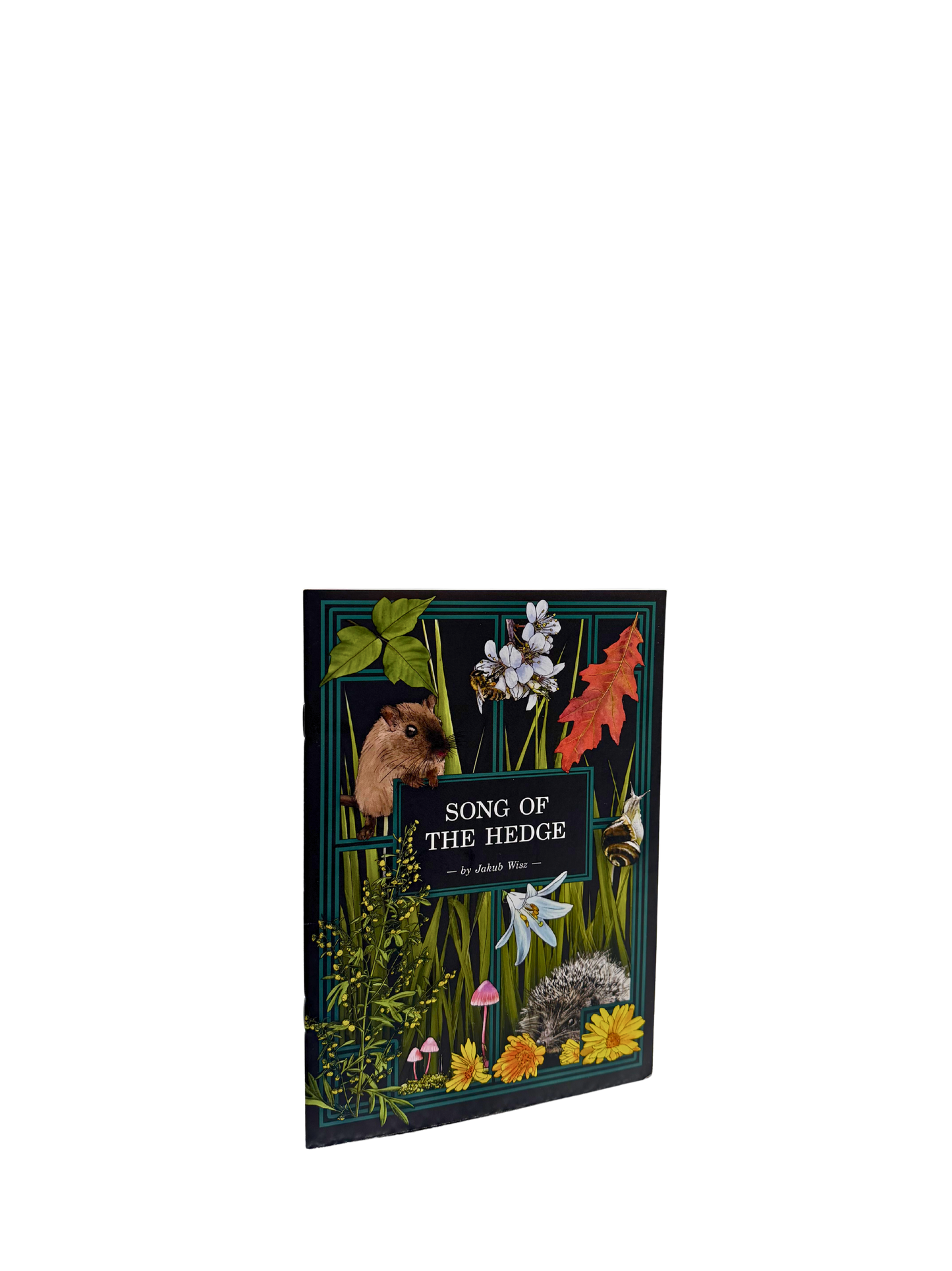 Song of the Hedge - Softcover