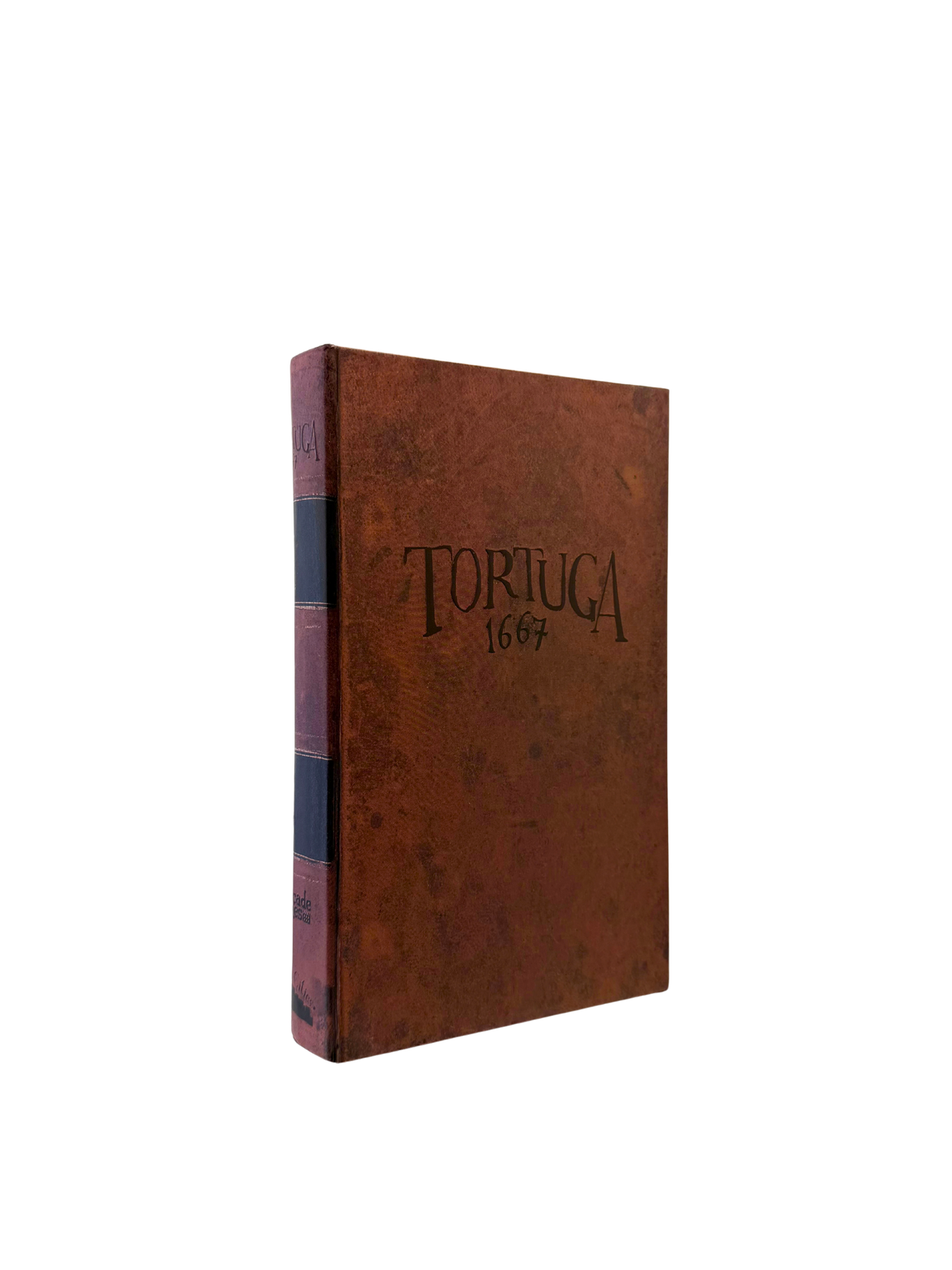 Tortuga 1667