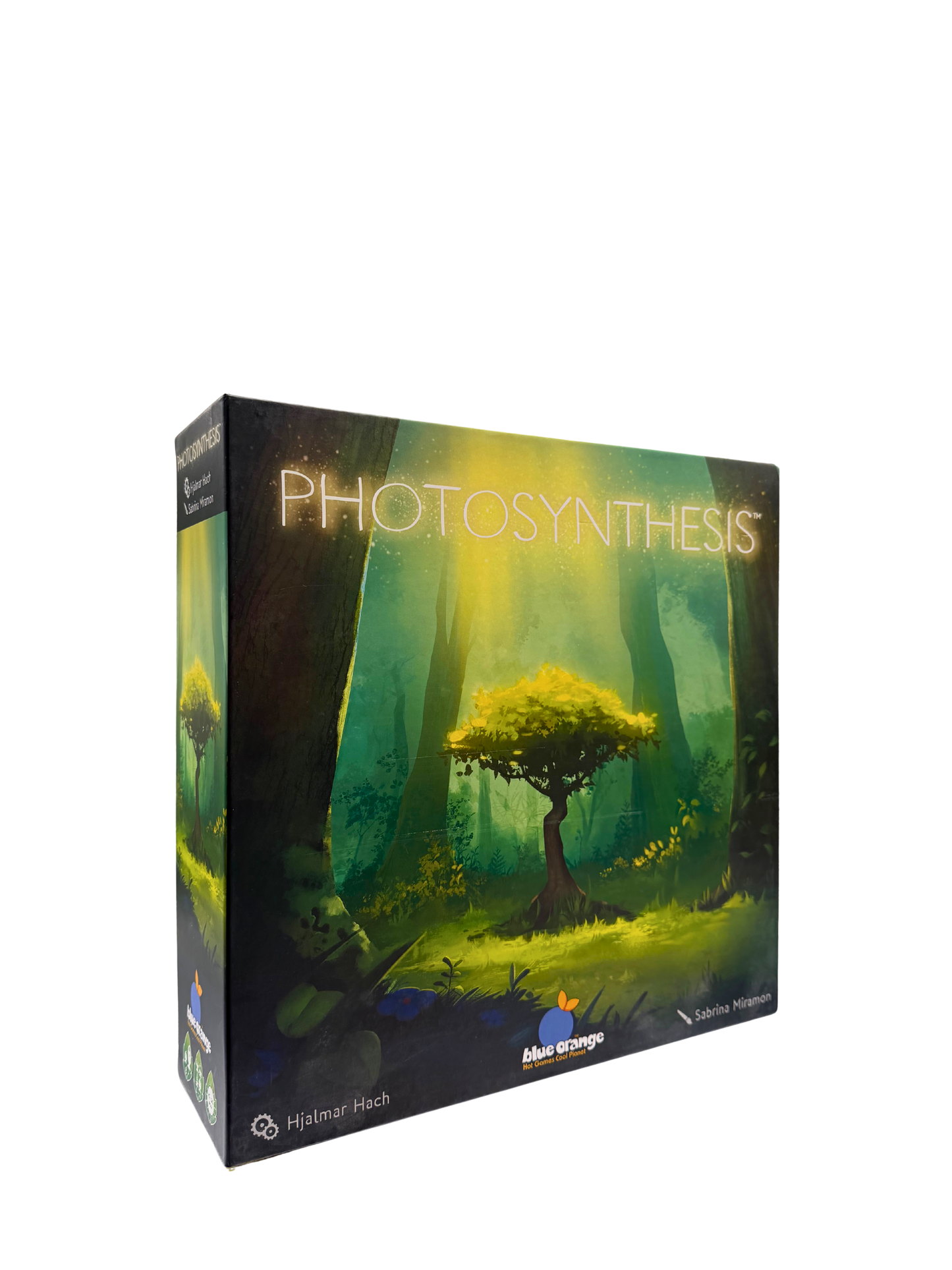Photosynthesis
