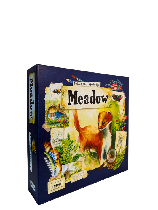 Meadow + Expansion