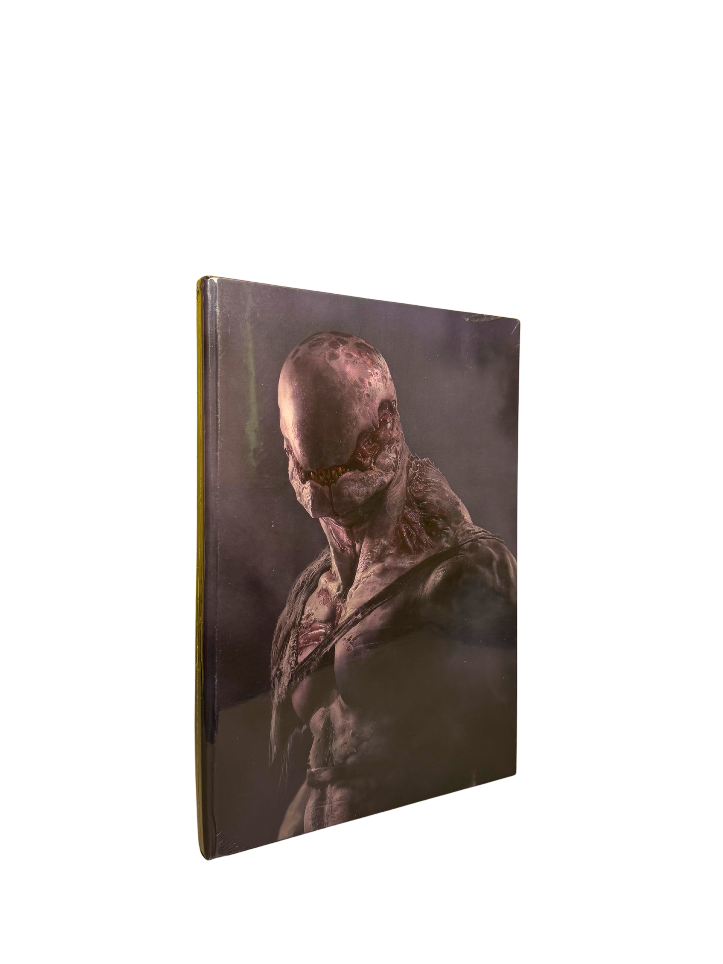 Degenesis: Screen Version 2 (BNIS)