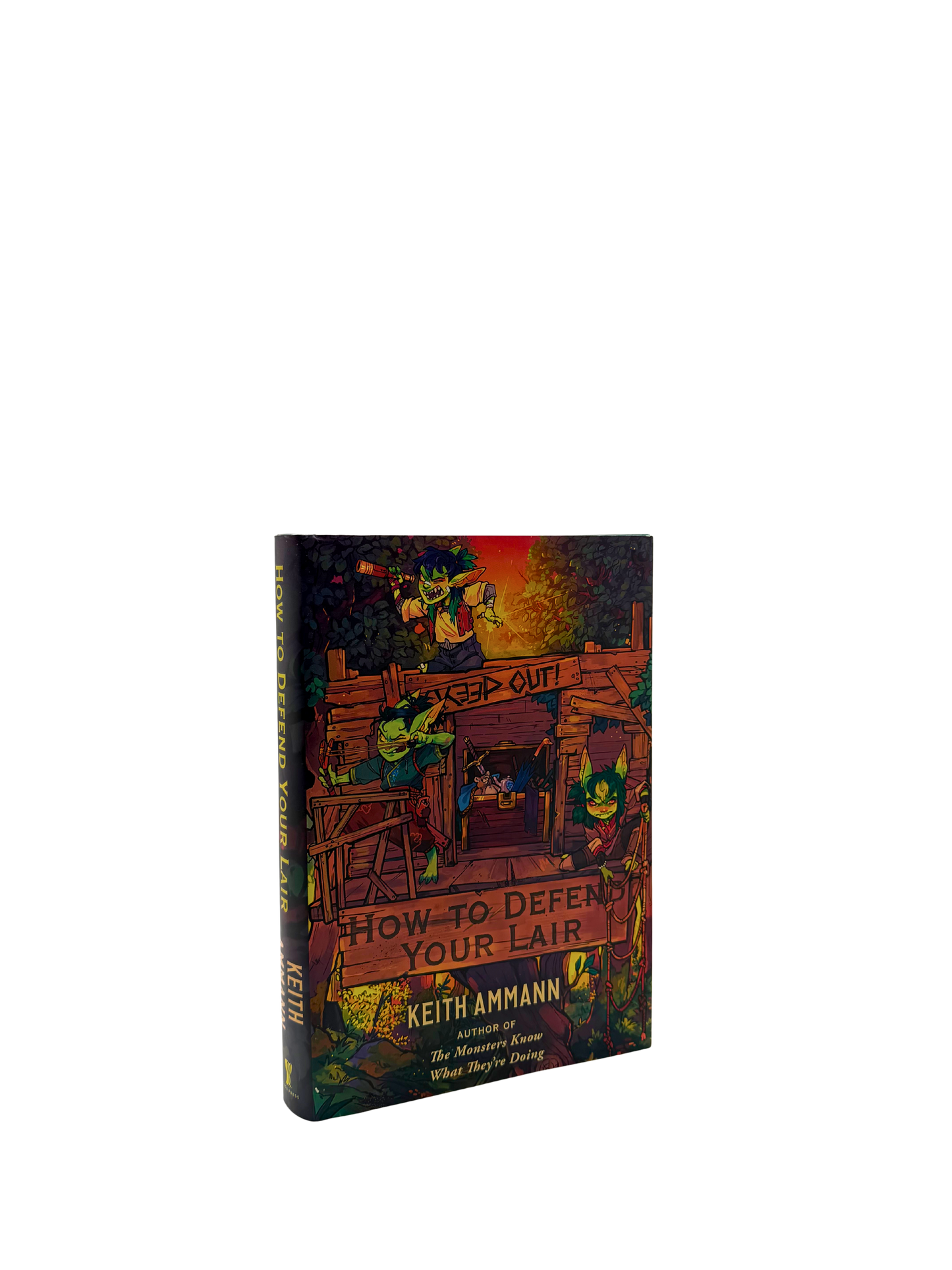 How to Defend Your Lair - Hardcover