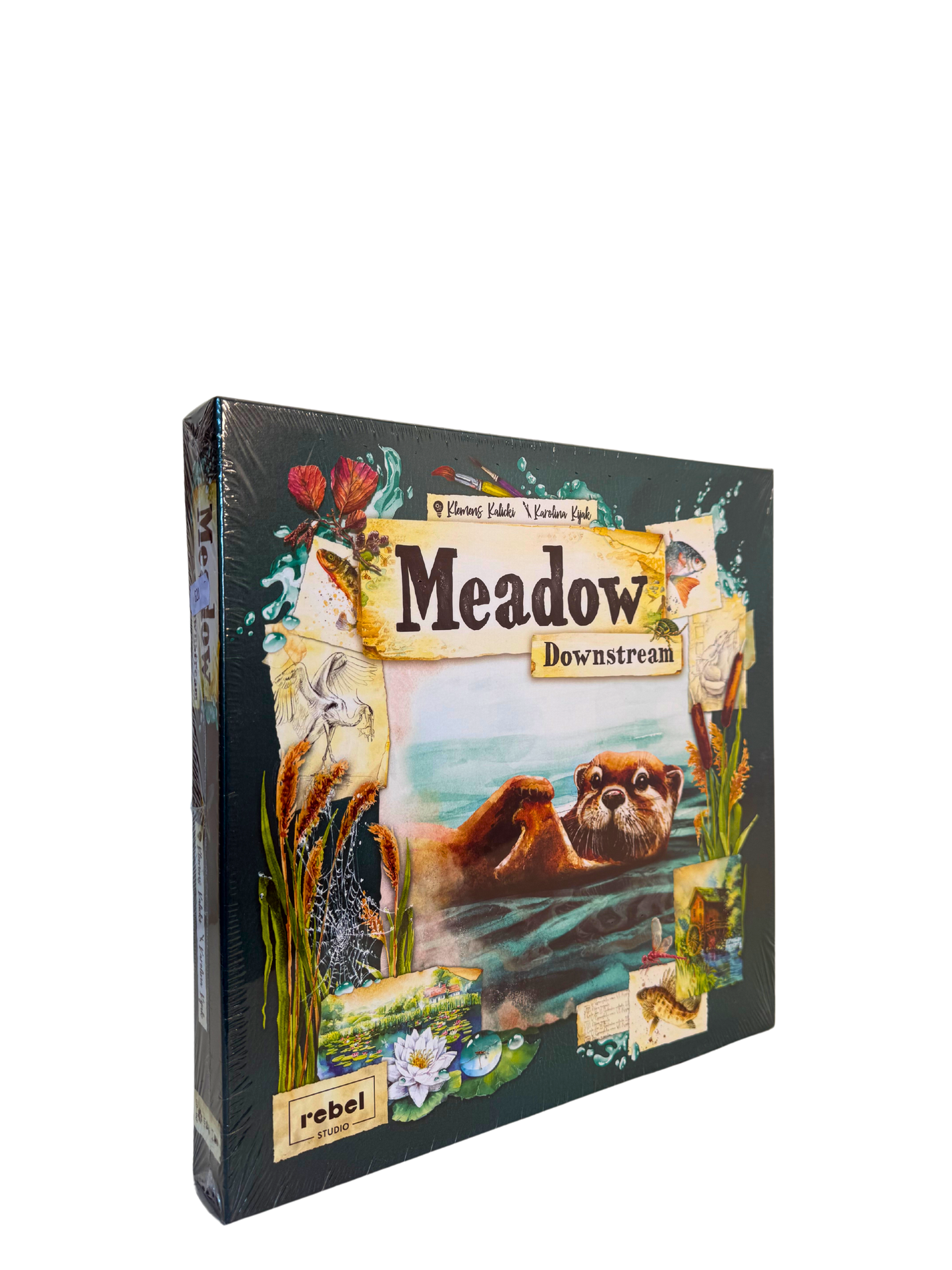 Meadow + Expansion