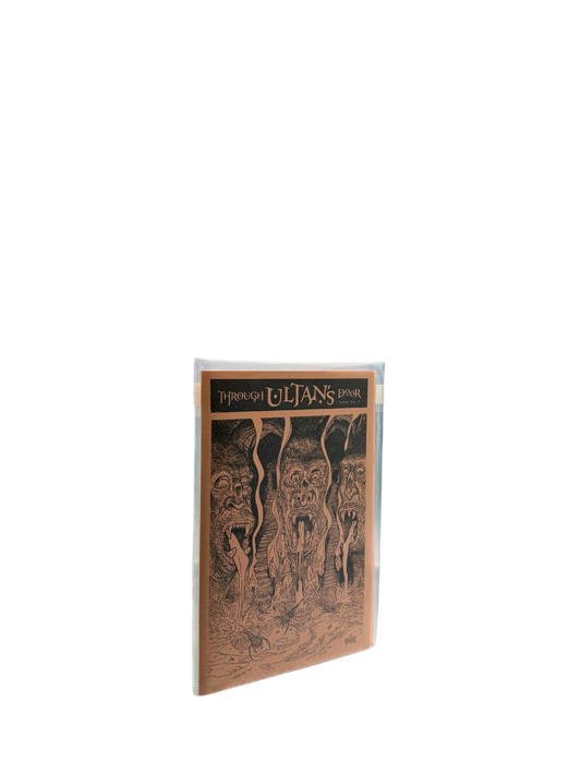 Through Ultan's Door 2 - Softcover